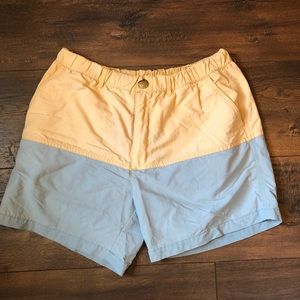 Men’s Chubbies Swim Trunks